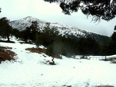 Hiking Calzada Romana de Cercedilla; la panera nordic walking viajes a canarias montejo de la sierra